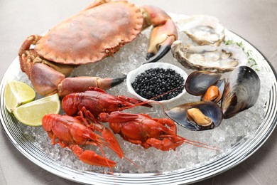 Photo of Many different sea food on table, closeup