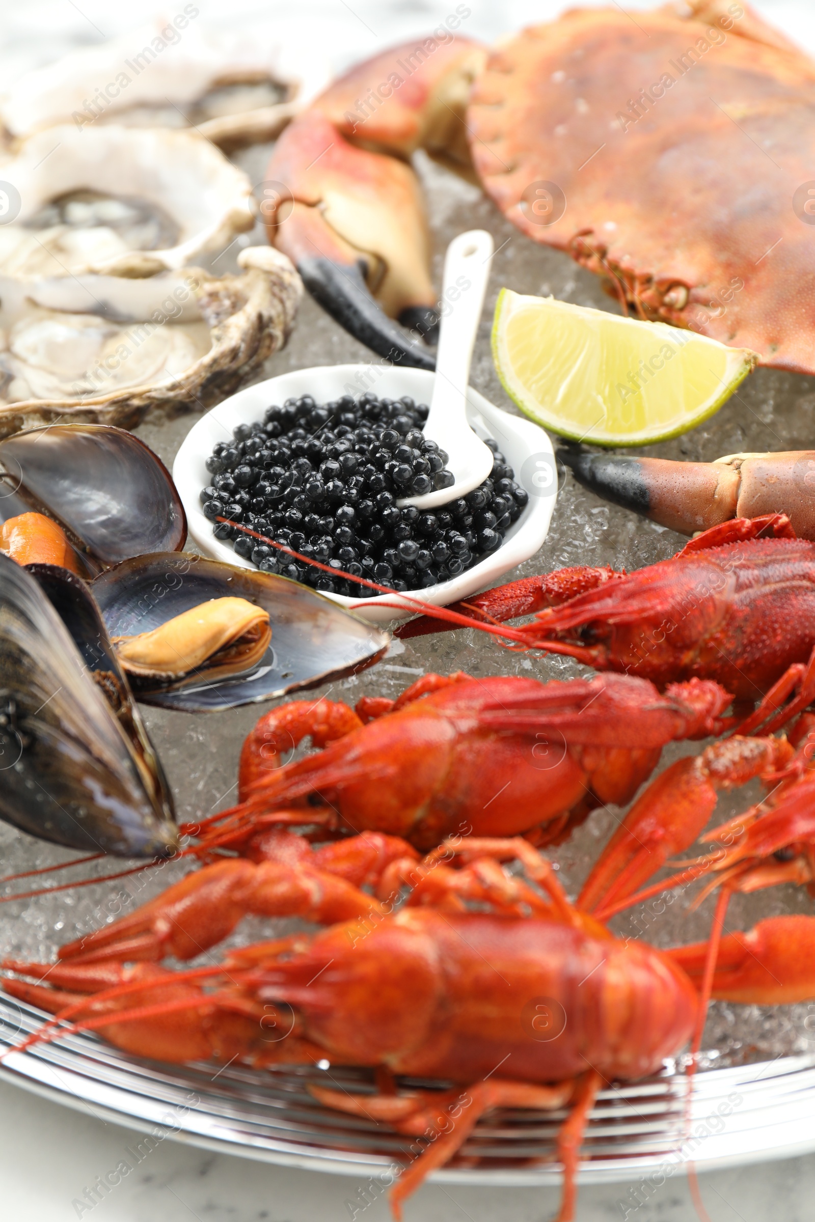 Photo of Many different sea food on table, closeup