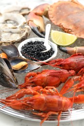 Many different sea food on table, closeup