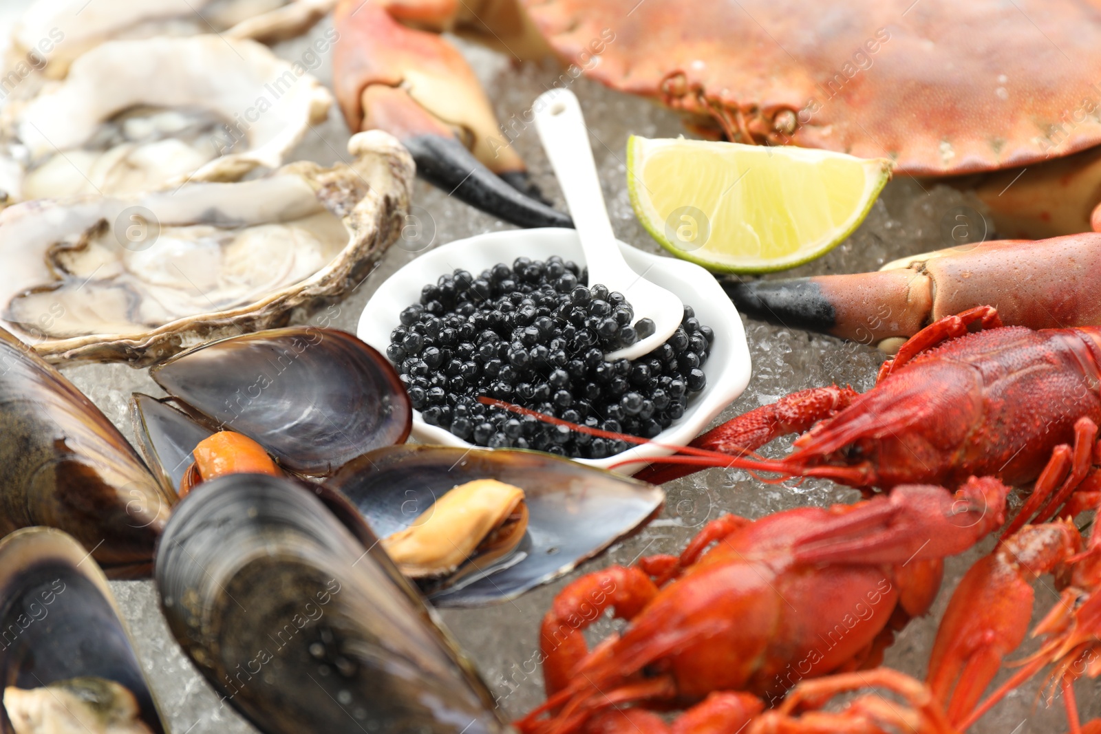 Photo of Many different sea food on ice, closeup