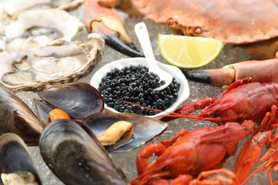 Many different sea food on ice, closeup