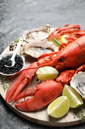 Many different sea food on dark table, closeup