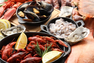 Many different sea food on table, closeup