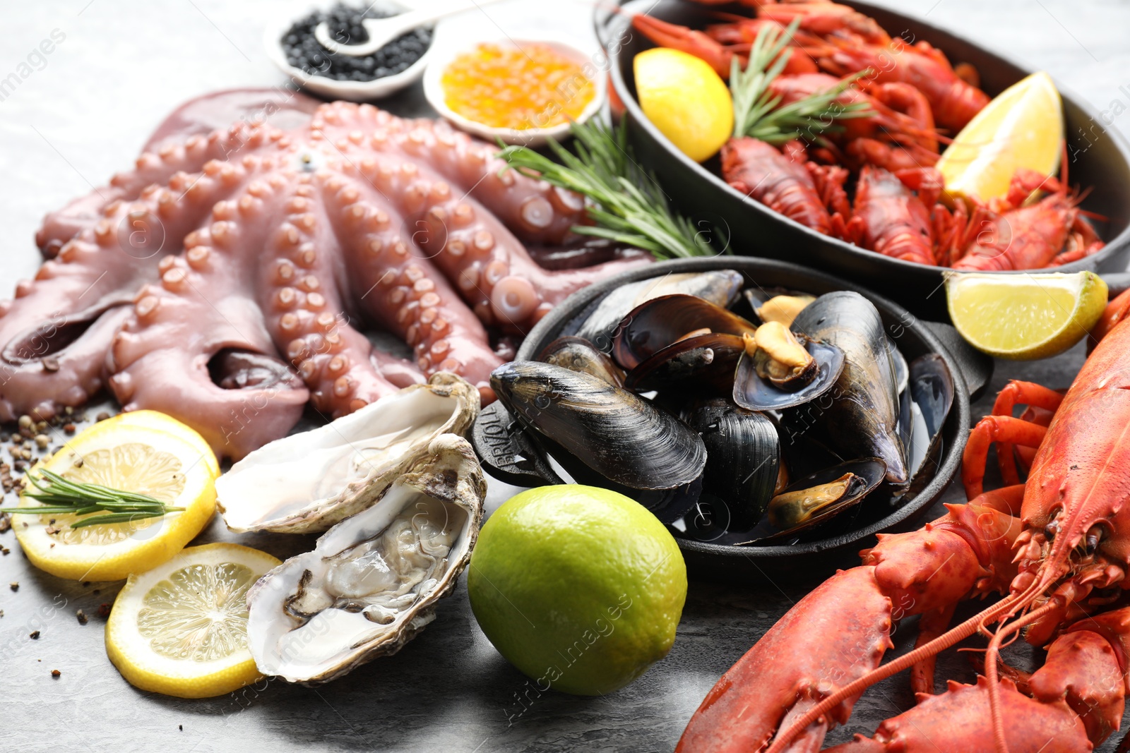 Photo of Many different sea food on grey table, closeup