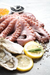 Oysters, octopus, caviar and spices on grey table, closeup