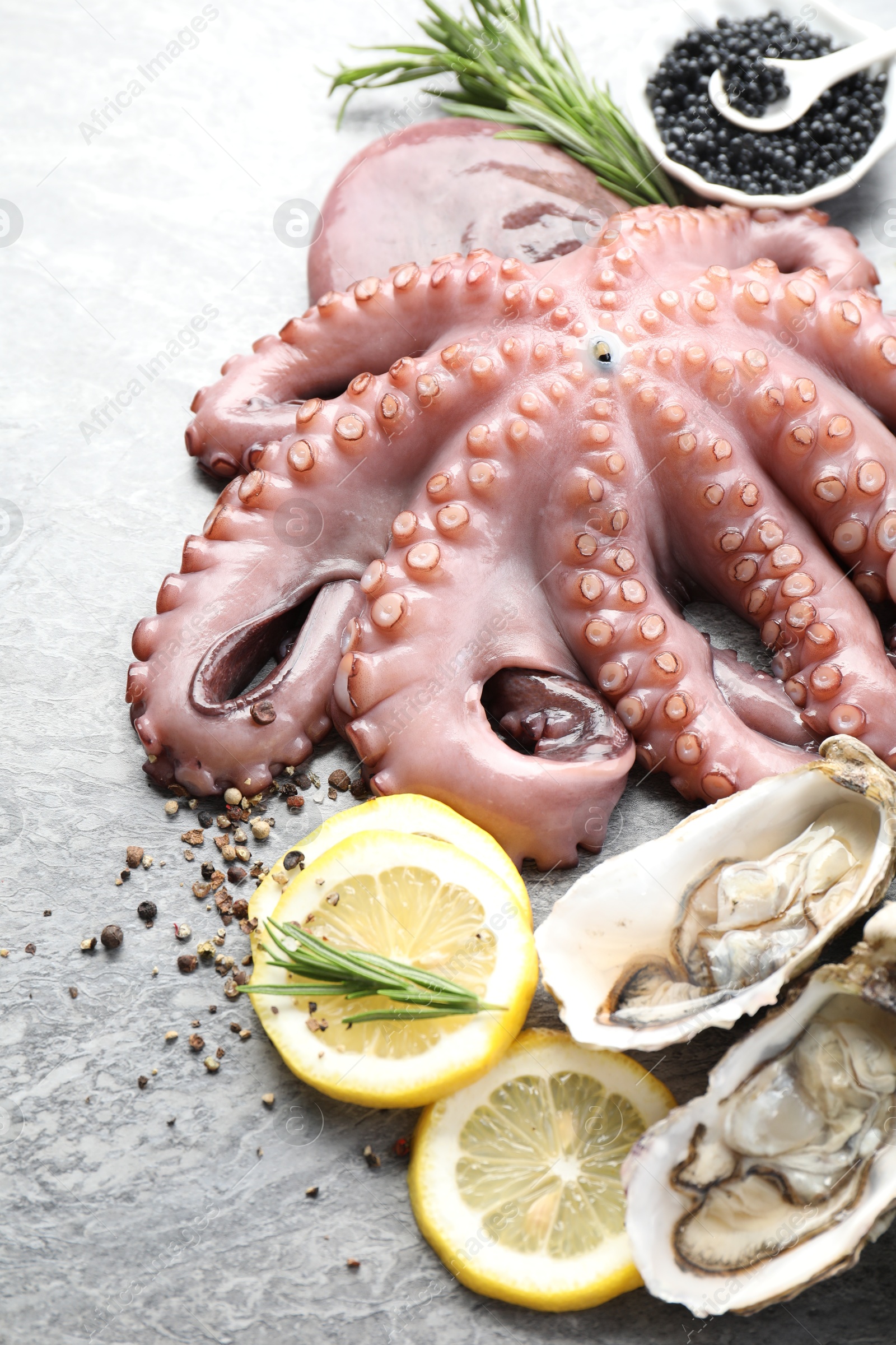 Photo of Oysters, octopus, black caviar and spices on grey table, closeup