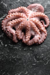 One fresh raw octopus on dark table, above view. Sea food