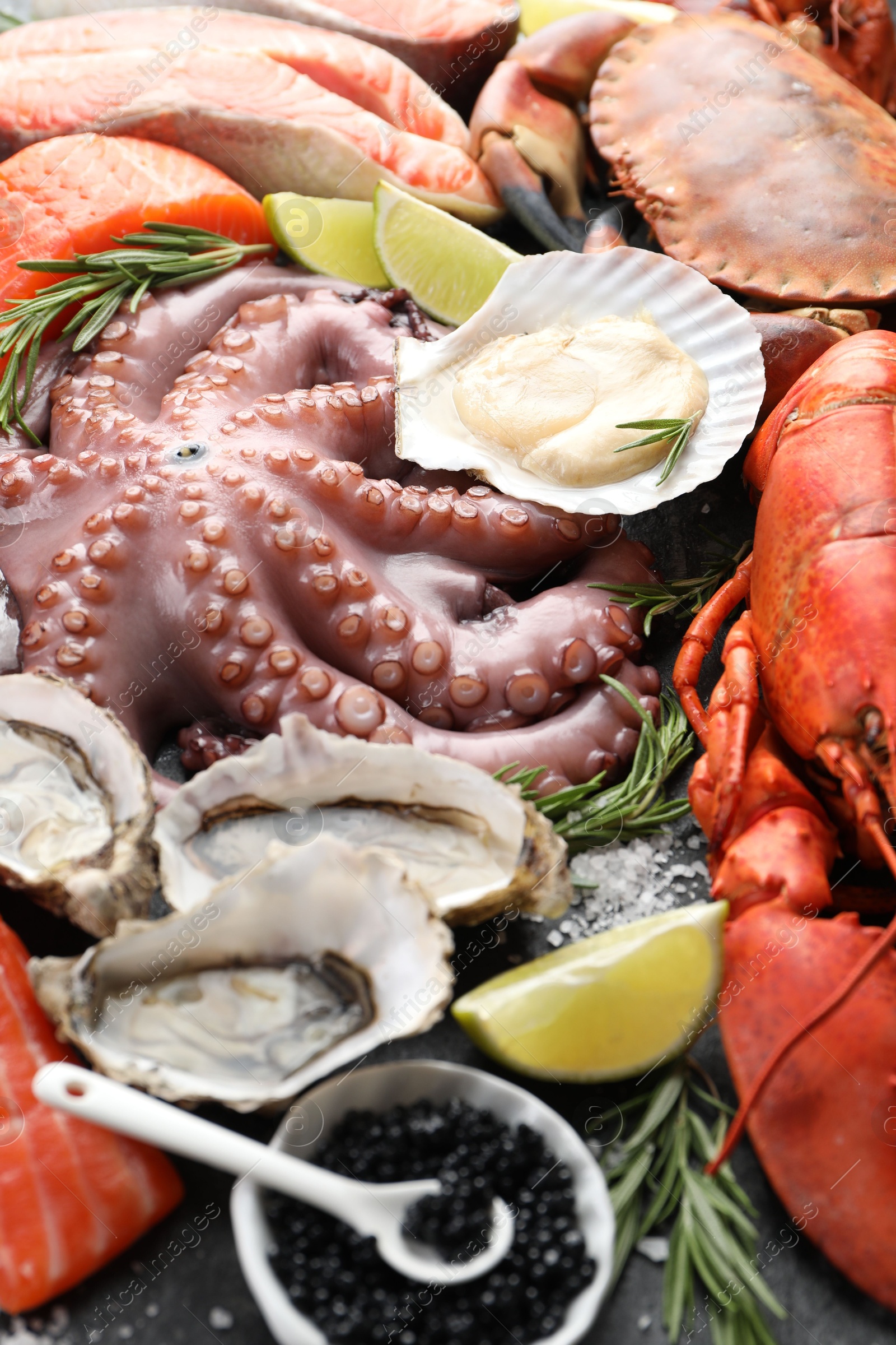 Photo of Many different sea food on table, closeup