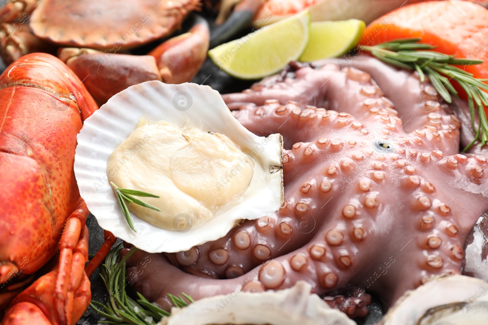 Photo of Many different sea food as background, closeup