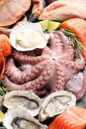 Many different sea food on table, closeup