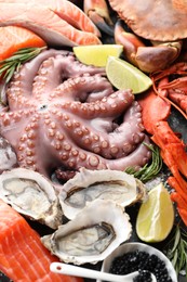 Many different sea food as background, closeup