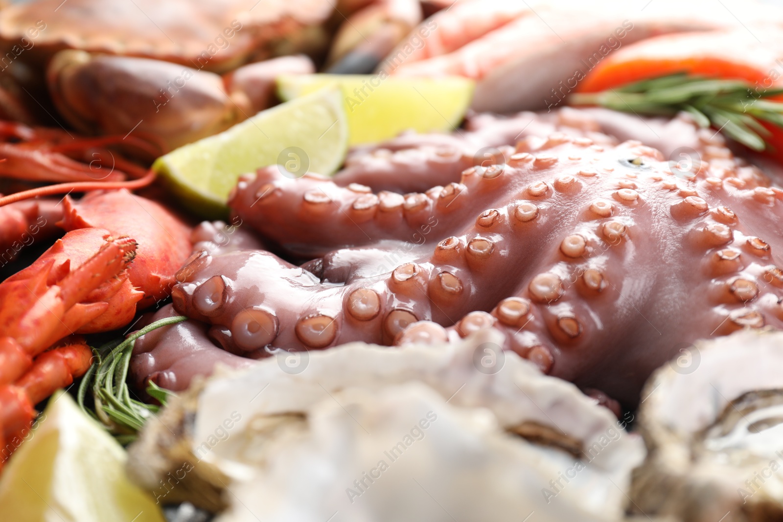 Photo of Many different sea food as background, closeup