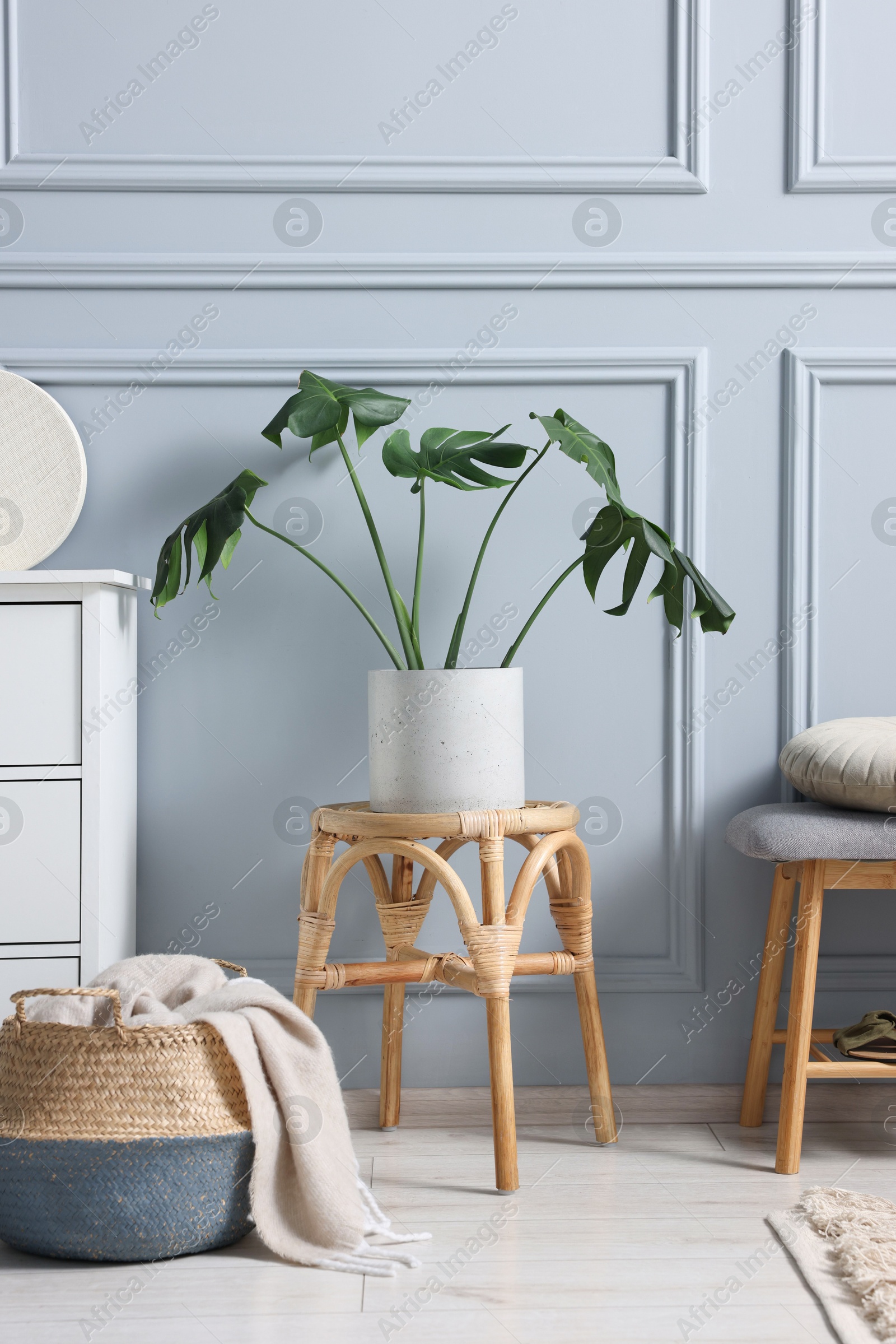 Photo of Stylish interior with stool and chest of drawers near light grey wall