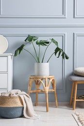 Photo of Stylish interior with stool and chest of drawers near light grey wall