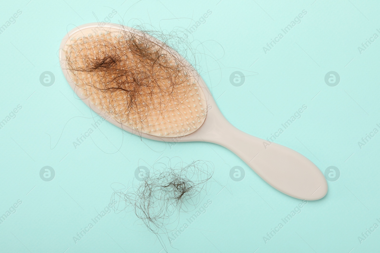 Photo of One brush with lost hair on light blue background, top view