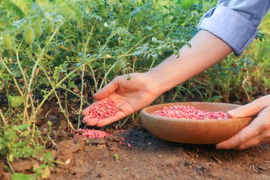 Photo of Woman putting fertilizer onto soil under plant outdoors, closeup