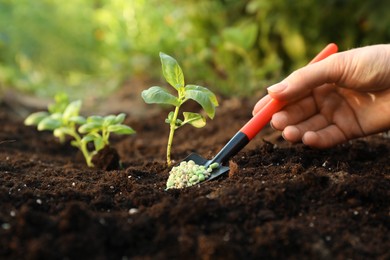 Photo of Woman putting fertilizer onto soil under plant outdoors, closeup