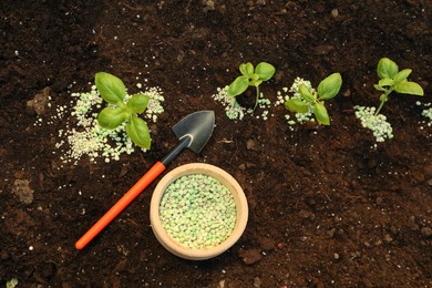 Photo of Plant, fertilizer and trowel on soil outdoors, top view