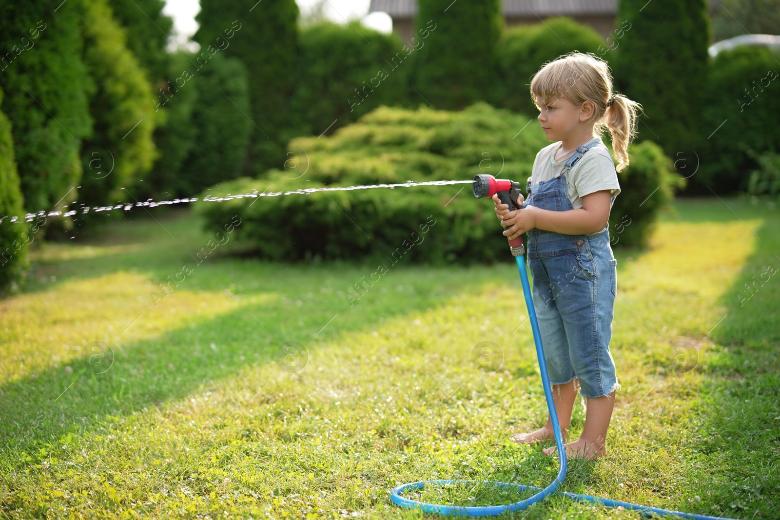 Photo of Little girl watering lawn with hose in backyard