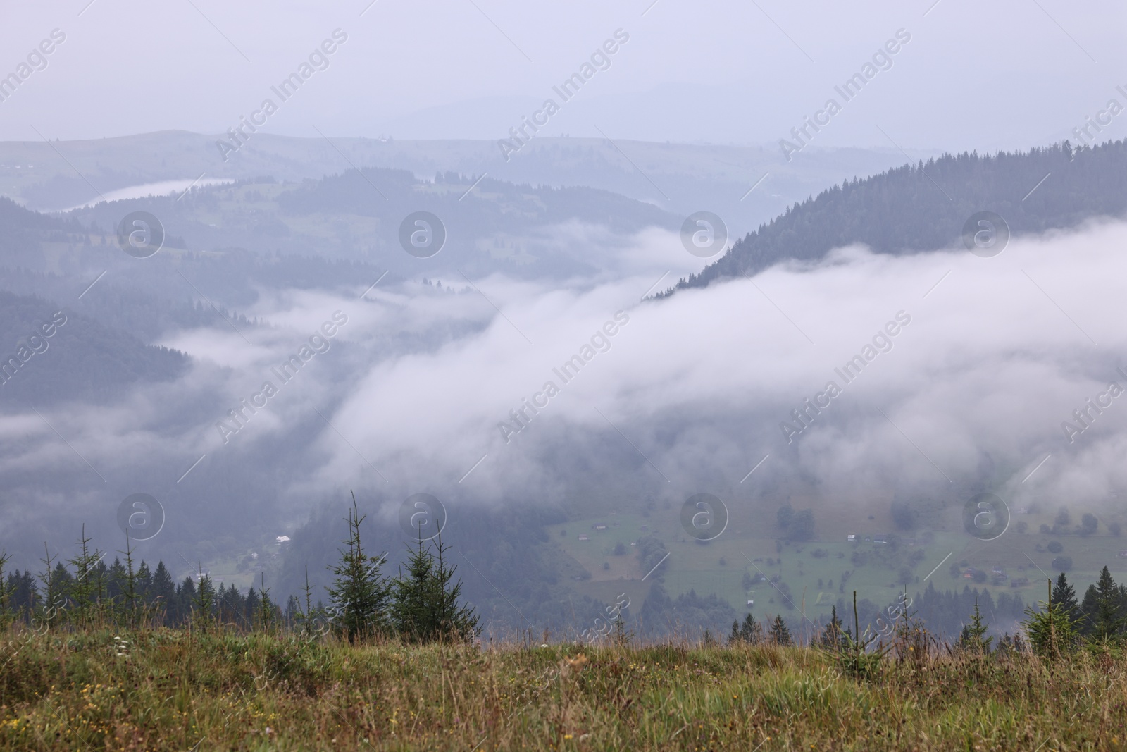 Photo of Picturesque view of beautiful mountains covered with fog