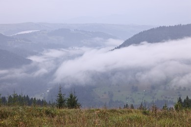 Photo of Picturesque view of beautiful mountains covered with fog