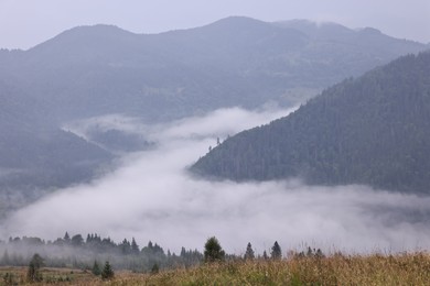 Photo of Picturesque view of beautiful mountains covered with fog