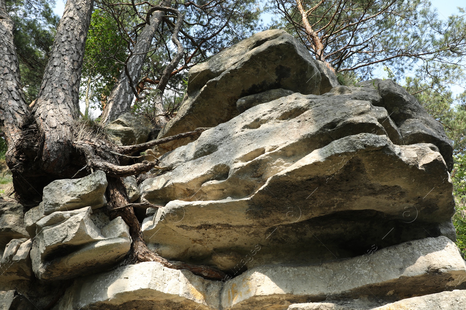 Photo of Beautiful rocks in forest, low angle view