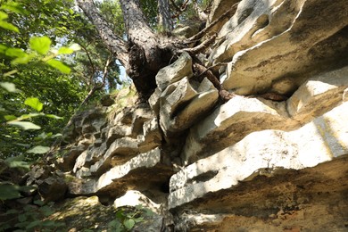 Photo of Beautiful rocks in forest, low angle view