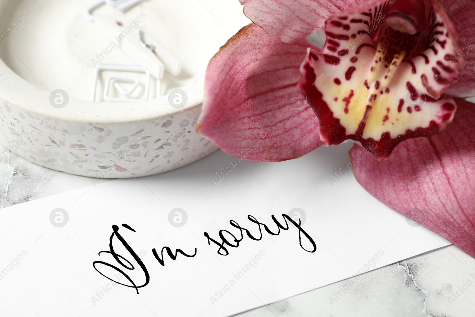 Image of Sorry card and orchid flower on white table, cloesup