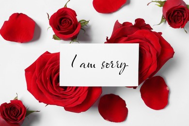 Sorry card and red roses on white table, top view