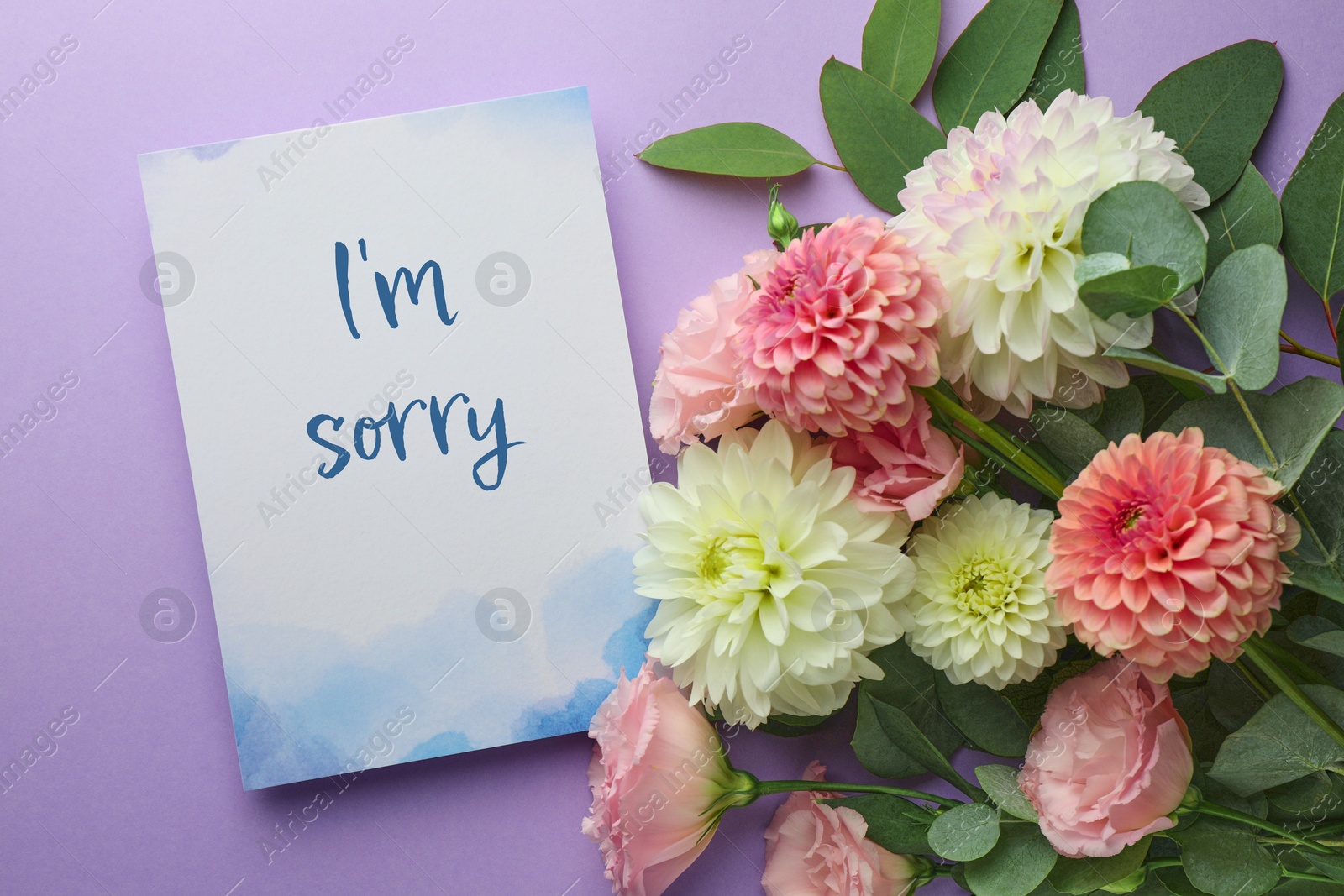 Image of Sorry card and beautiful flowers on violet background, top view