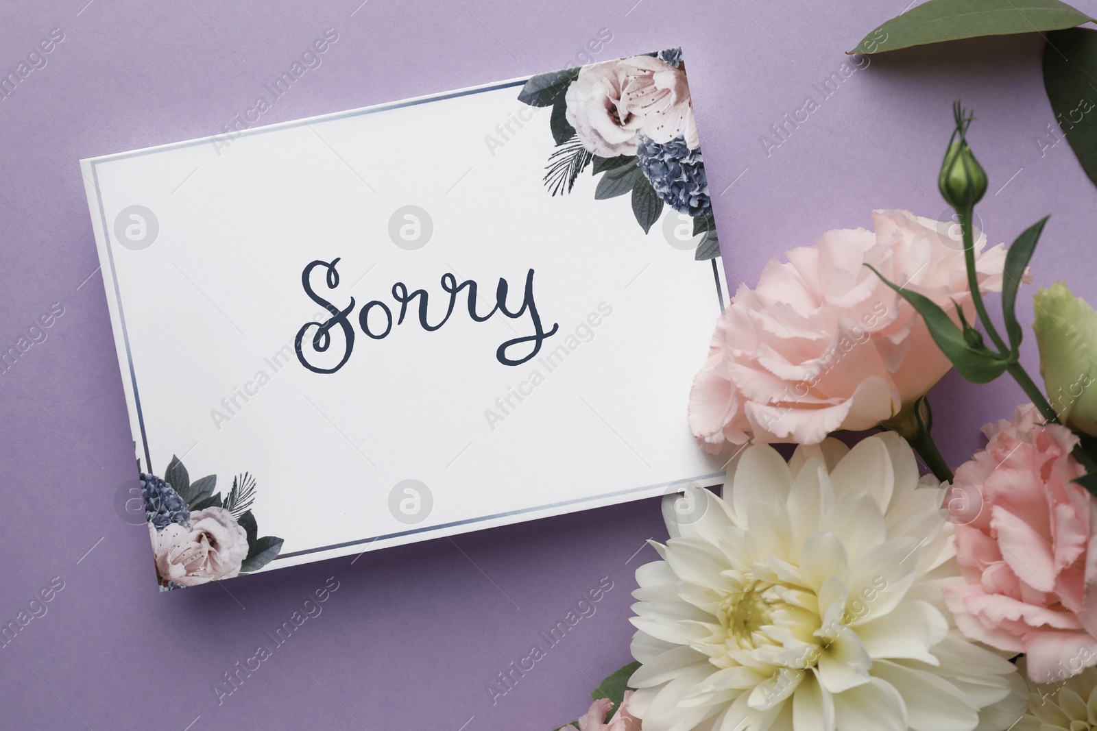 Image of Sorry card and beautiful flowers on violet background, top view