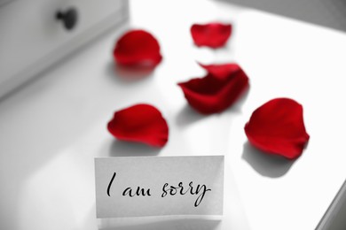 Sorry card and red rose petals on white table, closeup