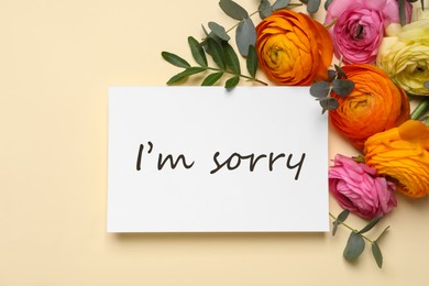 Sorry card and beautiful flowers on beige background, top view