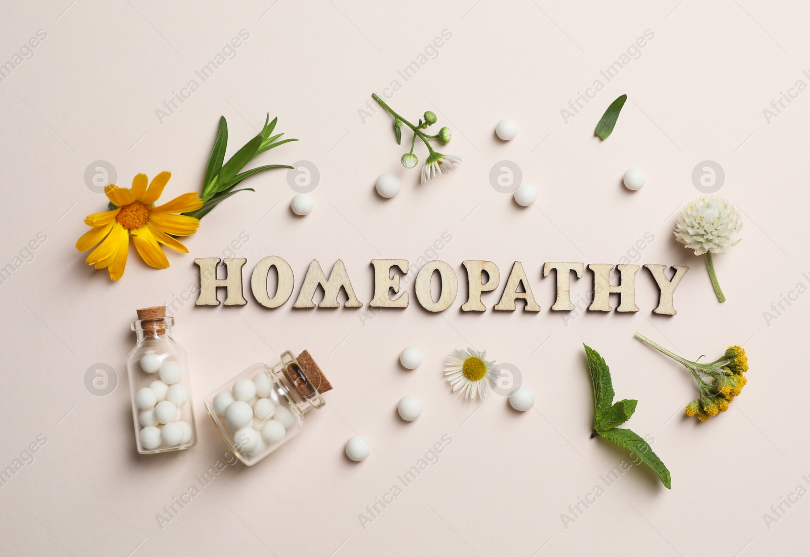 Photo of Word Homeopathy, pills and medicinal herbs on beige background, flat lay