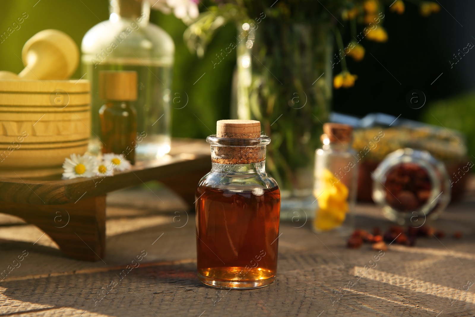 Photo of Tincture in bottles, different ingredients, mortar and pestle on wooden table outdoors