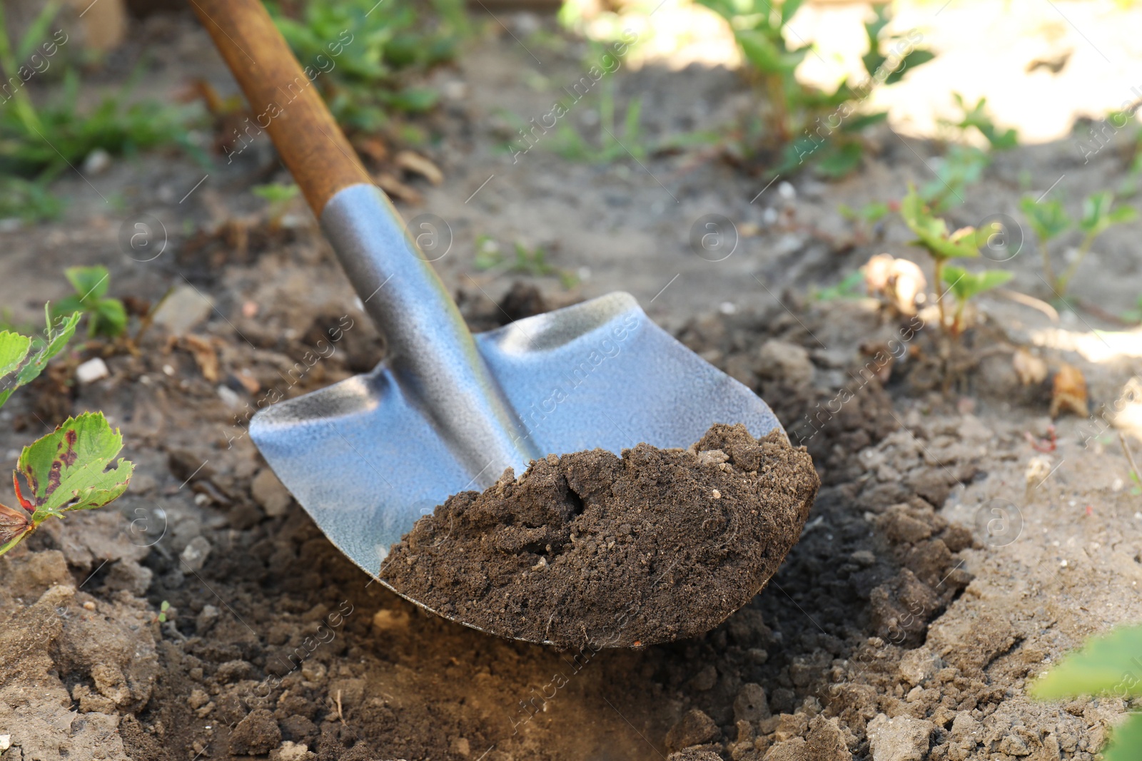 Photo of Digging soil with shovel in garden, closeup