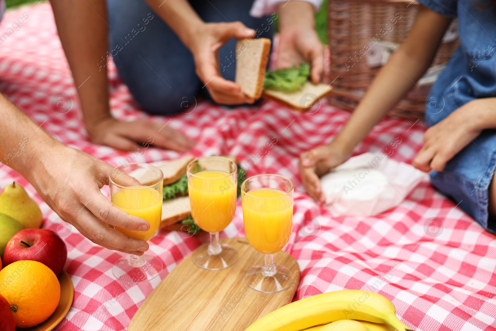 Photo of Family having picnic on checkered blanket outdoors, closeup