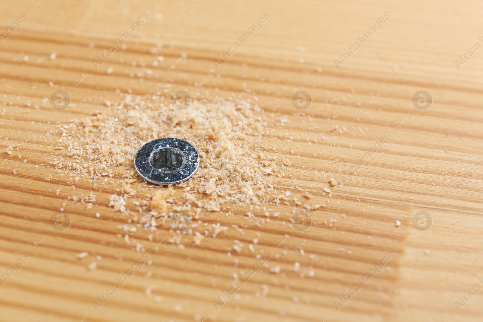 Photo of Screw in wooden plank and sawdust, closeup