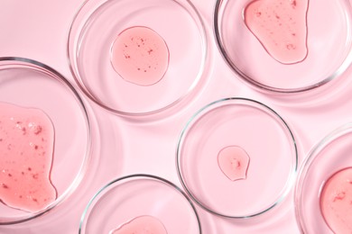 Photo of Petri dishes with samples on pink background, top view