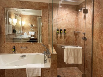 Photo of Luxury hotel interior. Stylish bathroom with modern tub and mirror