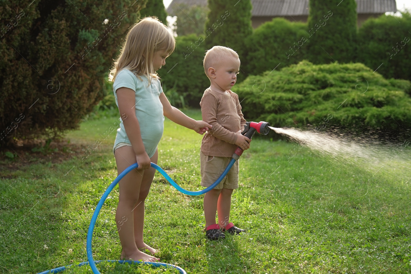 Photo of Little boy and his sister watering lawn with hose in backyard