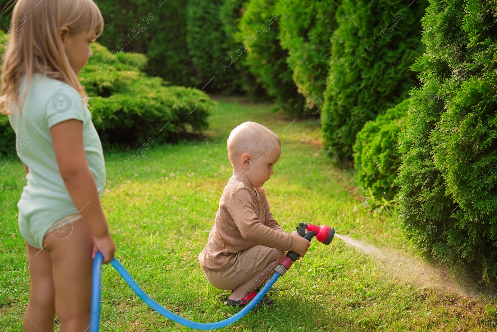 Photo of Little boy and his sister watering lawn with hose in backyard, selective focus