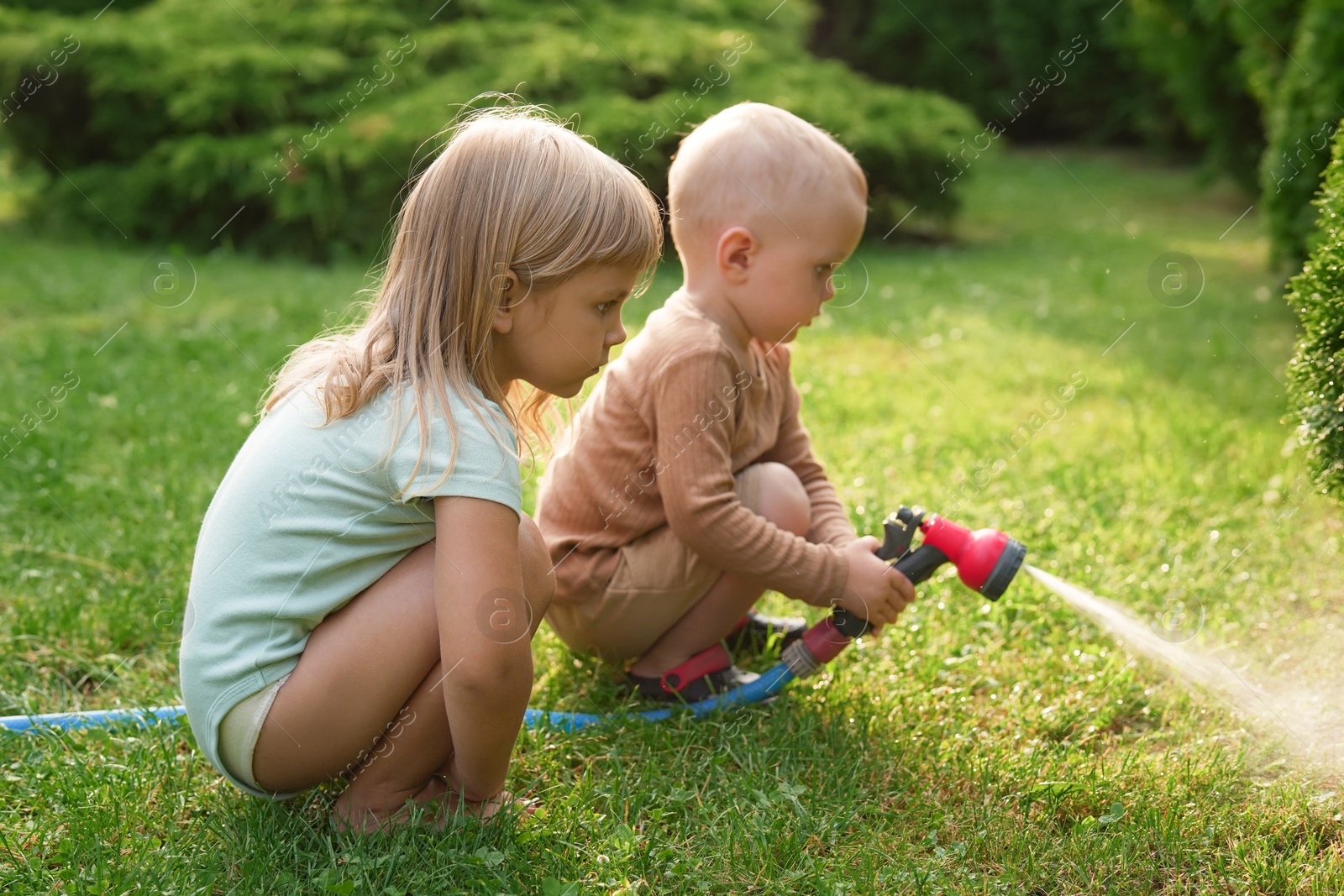 Photo of Little boy and his sister watering lawn with hose in backyard, selective focus