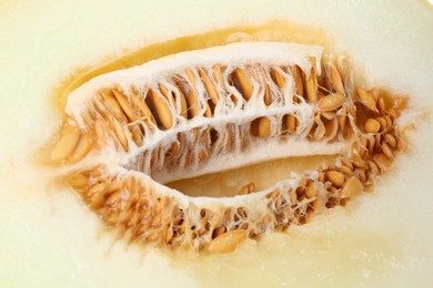 Photo of Half of ripe melon as background, closeup