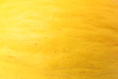 Photo of One whole ripe melon as background, closeup