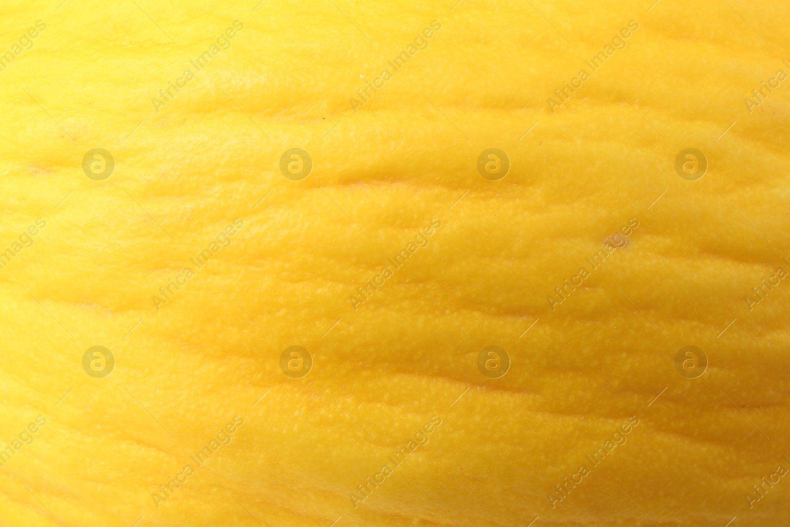 Photo of One whole ripe melon as background, closeup