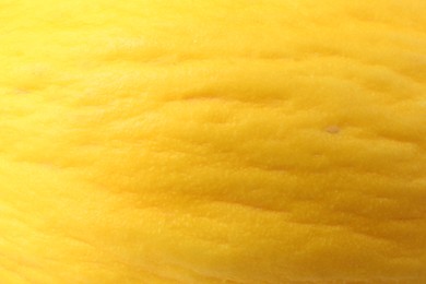 Photo of One whole ripe melon as background, closeup