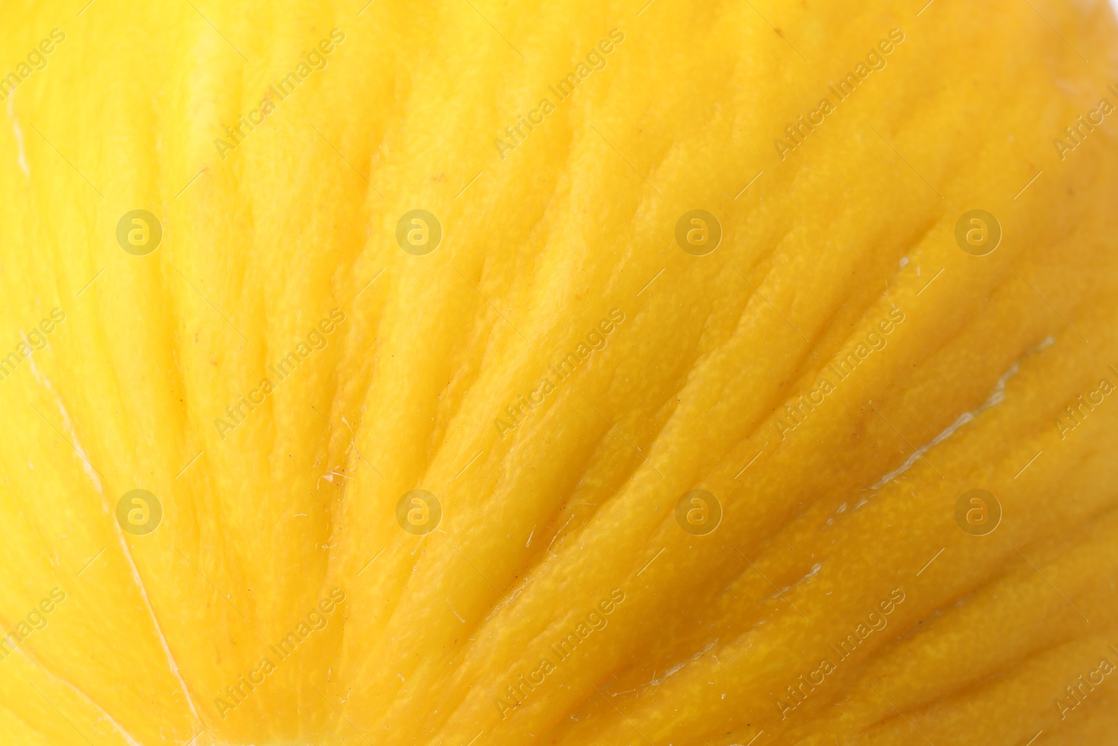 Photo of One whole ripe melon as background, closeup