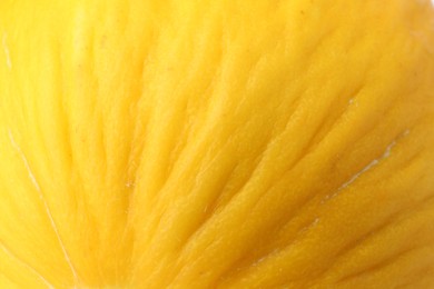 Photo of One whole ripe melon as background, closeup